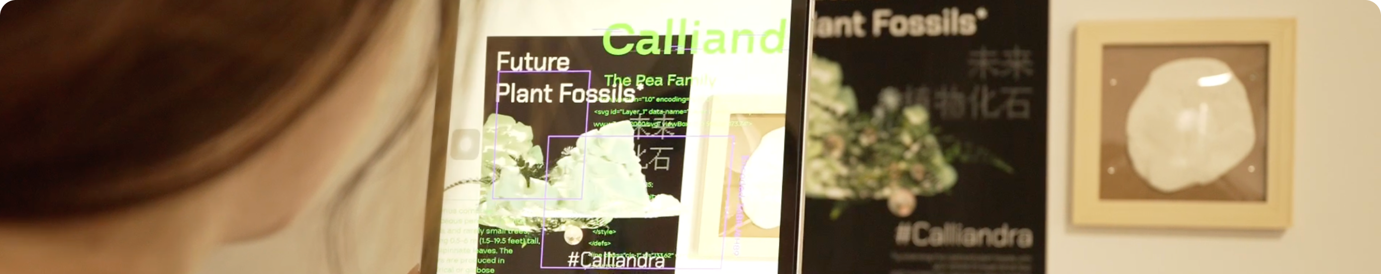 Future Plant Fossils